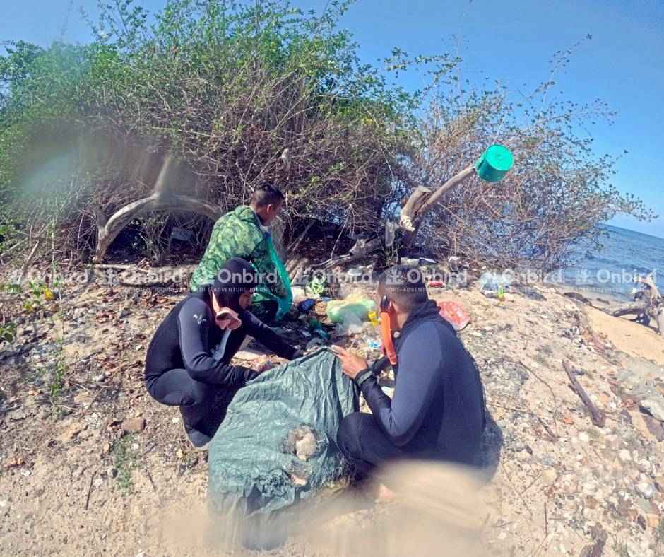 Hoạt động dọn rác trên bãi biển cùng OnBird