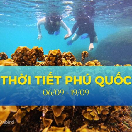 Cập nhật tình hình thời tiết và biển đảo Phú Quốc: ngày 6/9 - 19/9/2025