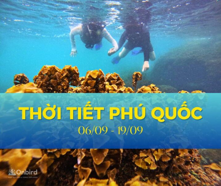 Cập nhật tình hình thời tiết và biển đảo Phú Quốc: ngày 6/9 - 19/9/2025