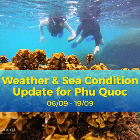 Weather & Sea Condition Update for Phu Quoc: September 6 – 19, 2025
