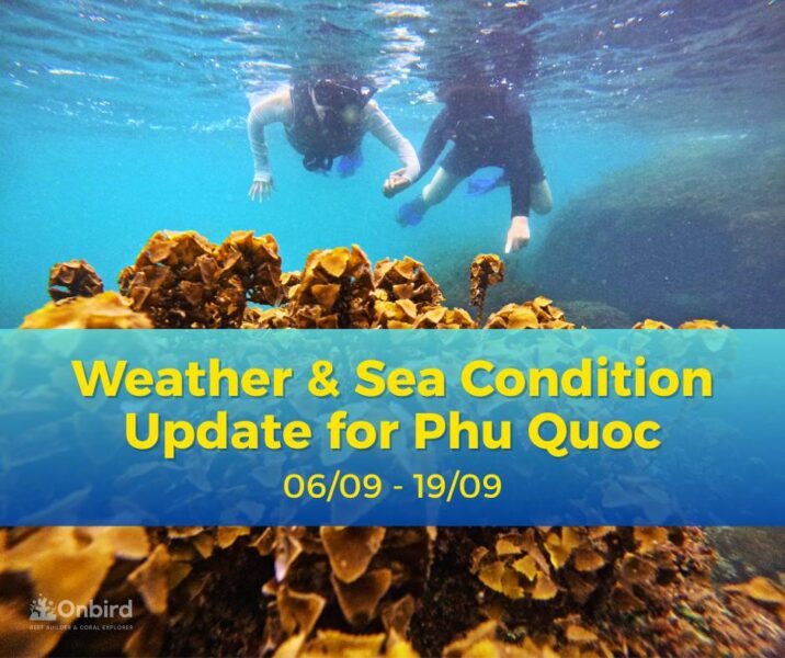 Weather & Sea Condition Update for Phu Quoc: September 6 – 19, 2025