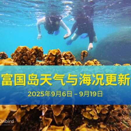 富国岛天气与海况更新：2025年9月6日 – 9月19日
