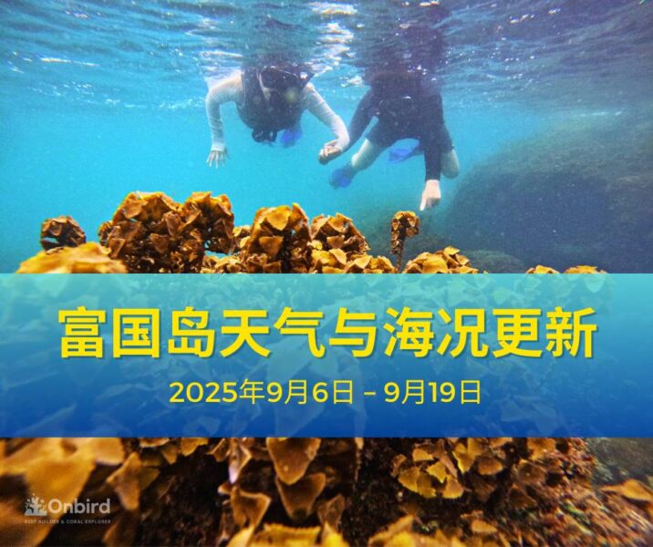 富国岛天气与海况更新：2025年9月6日 – 9月19日