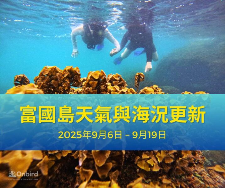 富國島天氣與海況更新：2025年9月6日 – 9月19日