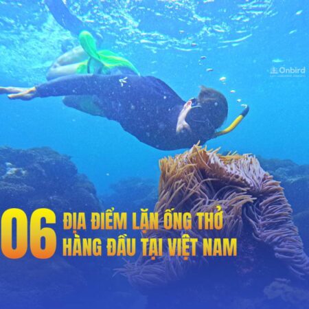 Khám Phá 06 Địa Điểm Lặn Ống Thở Hàng Đầu Tại Việt Nam Mà Bạn Không Thể Bỏ Qua