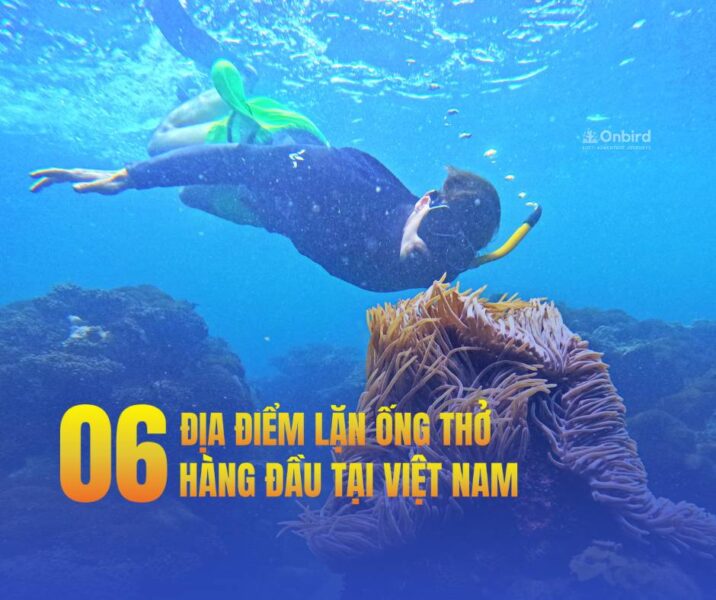 Khám Phá 06 Địa Điểm Lặn Ống Thở Hàng Đầu Tại Việt Nam Mà Bạn Không Thể Bỏ Qua