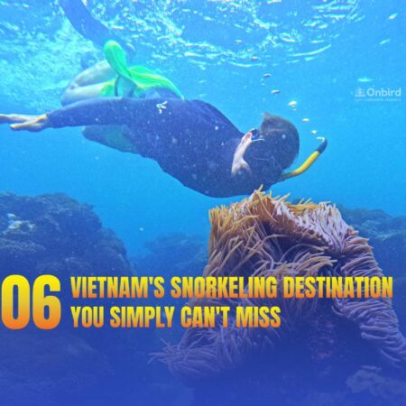 6 Amazing Snorkeling Spots in Vietnam You Can't Miss