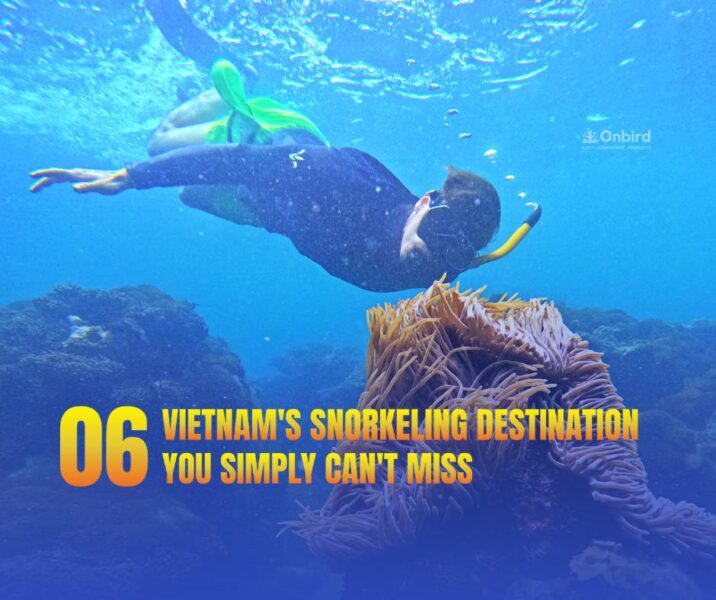 6 Amazing Snorkeling Spots in Vietnam You Can't Miss