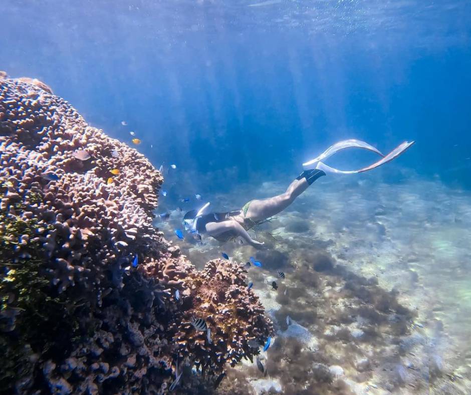 Lặn ống thở tại biển Phú Quý (nguồn: sưu tầm)