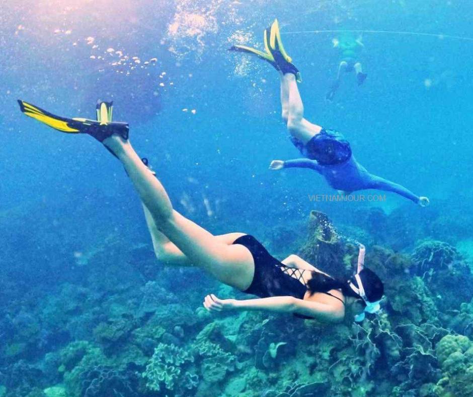 Lặn ống thở ngắm san hô tại Vịnh Vĩnh Hy (Nguồn: Sưu tầm)