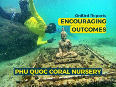 OnBird Reports Encouraging Outcomes from Phu Quoc Coral Nursery.
