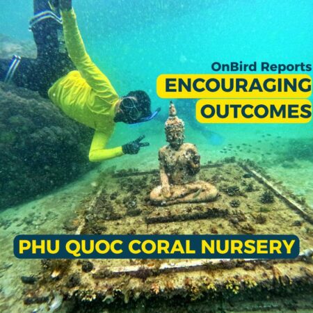 OnBird Reports Encouraging Outcomes from Phu Quoc Coral Nursery.