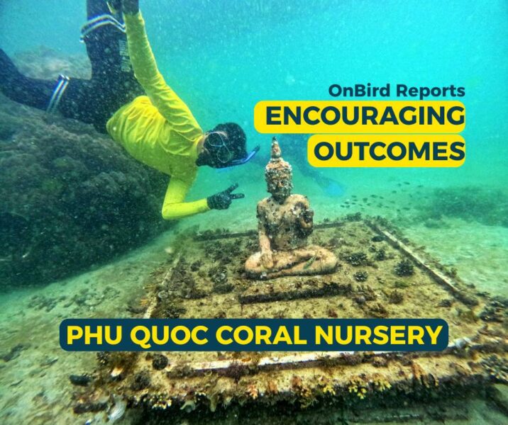 OnBird Reports Encouraging Outcomes from Phu Quoc Coral Nursery.
