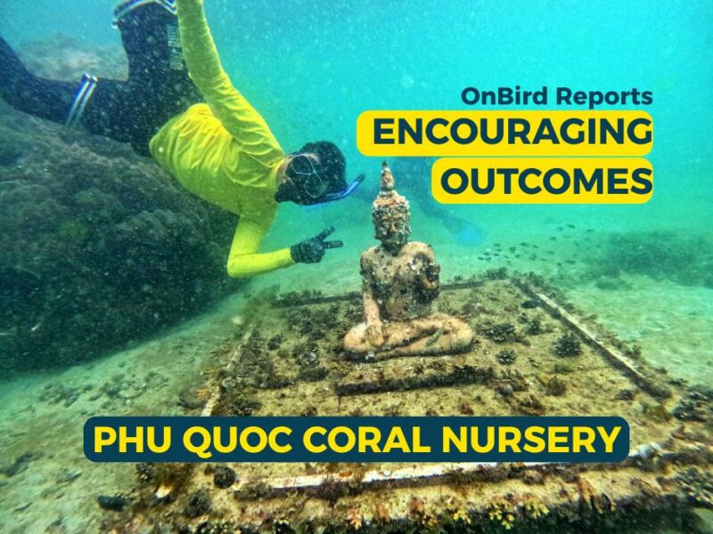 OnBird Reports Encouraging Outcomes from Phu Quoc Coral Nursery.