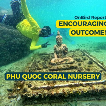 OnBird Reports Encouraging Outcomes from Phu Quoc Coral Nursery.
