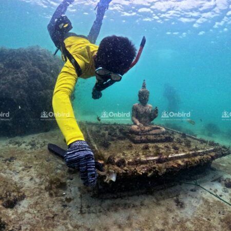Images of the OnBird team inspecting and maintaining the nursery.