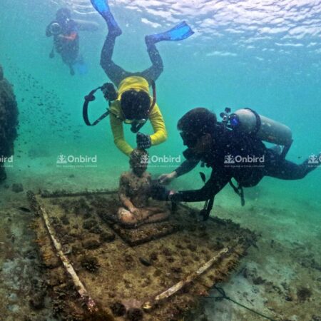 Images of the OnBird team inspecting and maintaining the nursery.