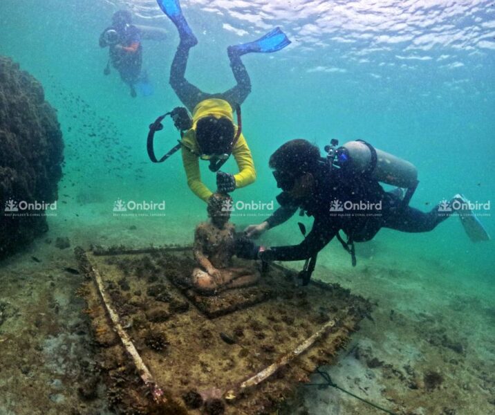 Images of the OnBird team inspecting and maintaining the nursery.