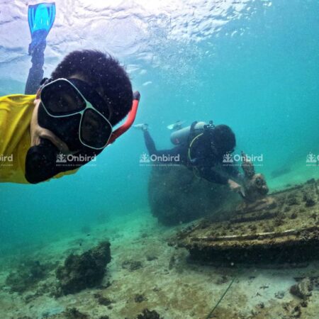Images of the OnBird team inspecting and maintaining the nursery.