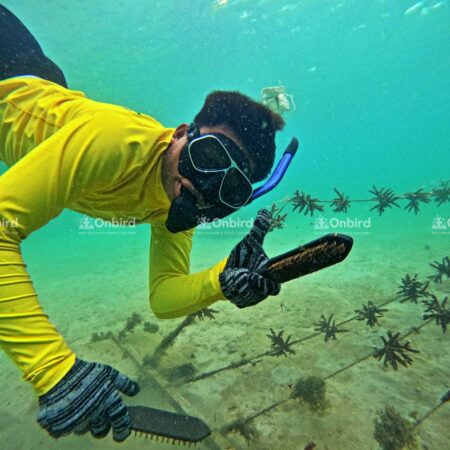 Be a part of this journey, safeguard Phu Quoc, and help us nurture life beneath the waves for generations to come.