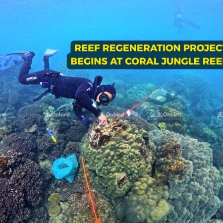 RP Begins at Coral Jungle Reef