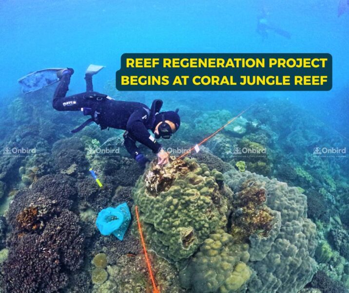 RP Begins at Coral Jungle Reef