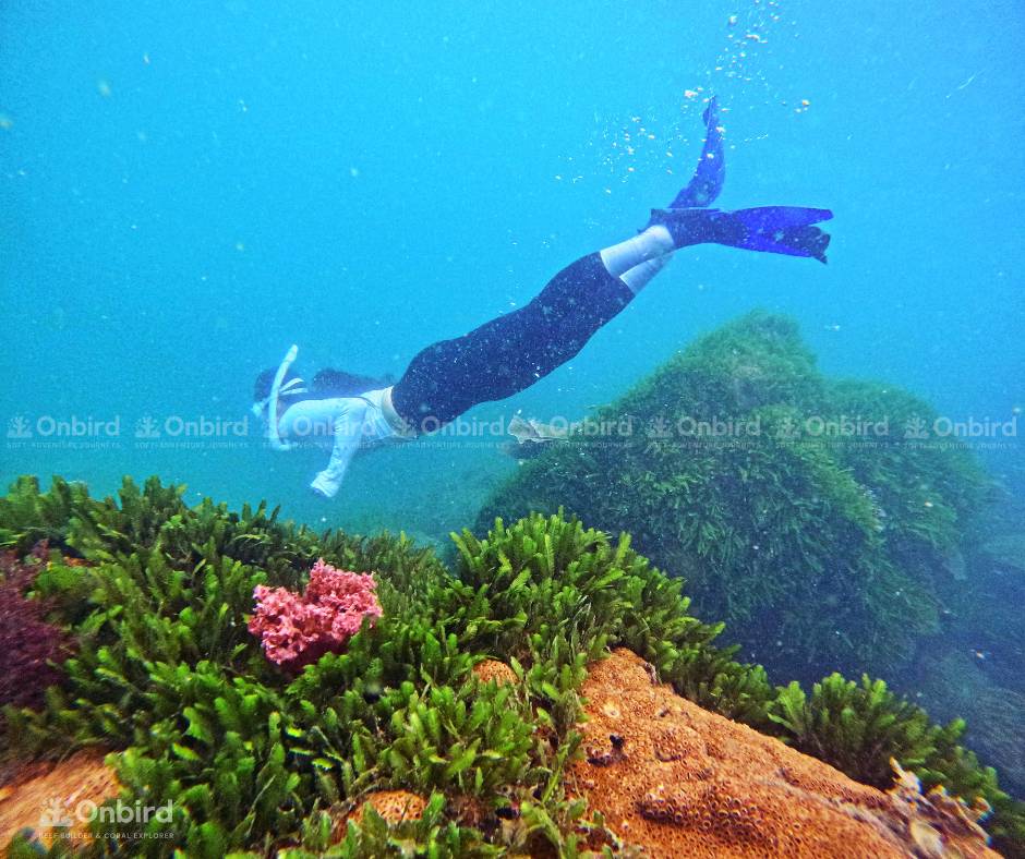 Quiet, Pristine Spots – Off the Beaten Path