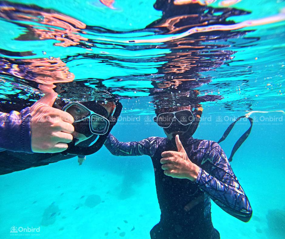 OnBird accompanies you on your snorkeling journey to explore the wonders of the Phu Quoc ocean