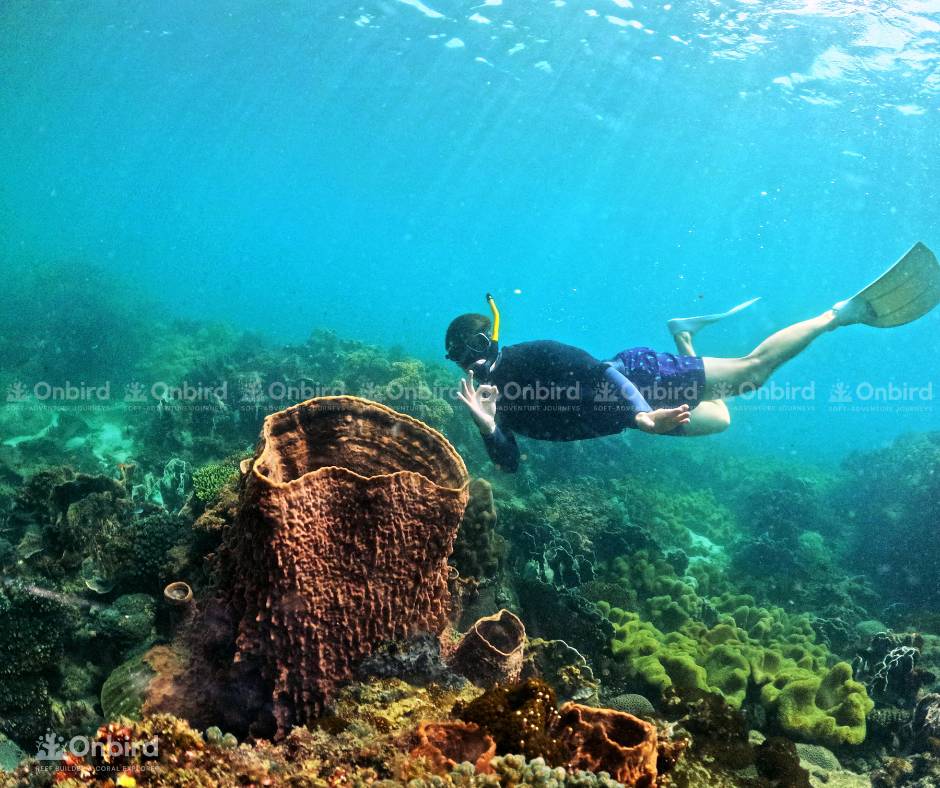 Sustainable Snorkeling with Heart