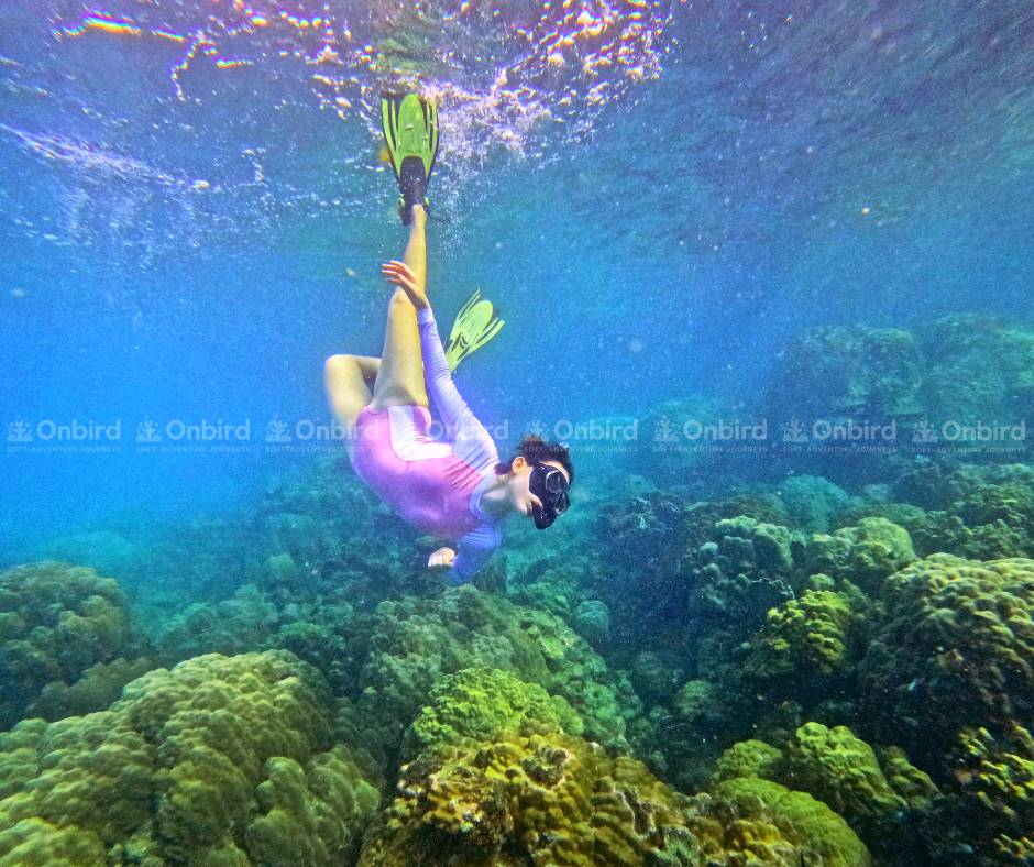 Snorkeling with OnBird Phu Quoc - An experience that stays with you