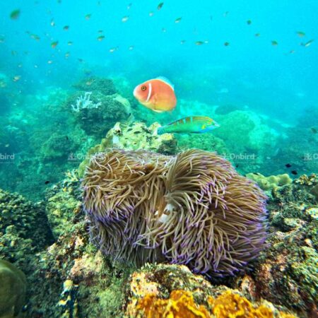 Phu Quoc Weather Update (Oct 31 – Nov 5):