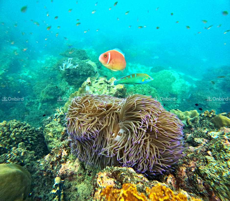 Phu Quoc Weather Update (Oct 31 – Nov 5):