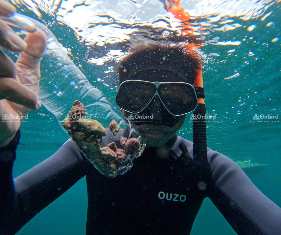 Kiểm soát ốc dâu