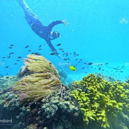 Hướng đến Sự Cân Bằng Tự Nhiên (2)