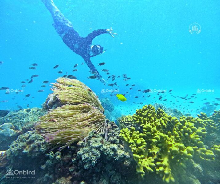 Hướng đến Sự Cân Bằng Tự Nhiên (2)