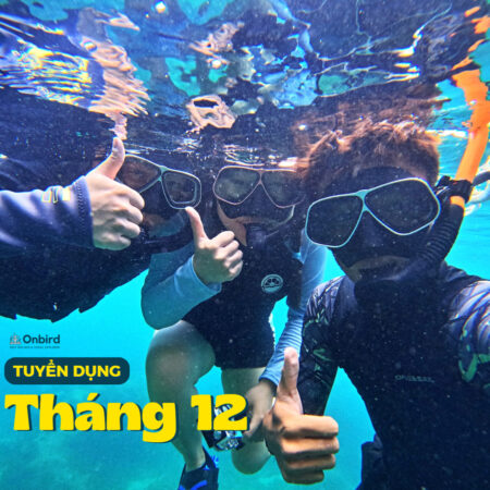 onbird phu quoc tuyen dung