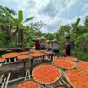 Trải nghiệm khám phá vườn tiêu Pepper Farm tại Phú Quốc