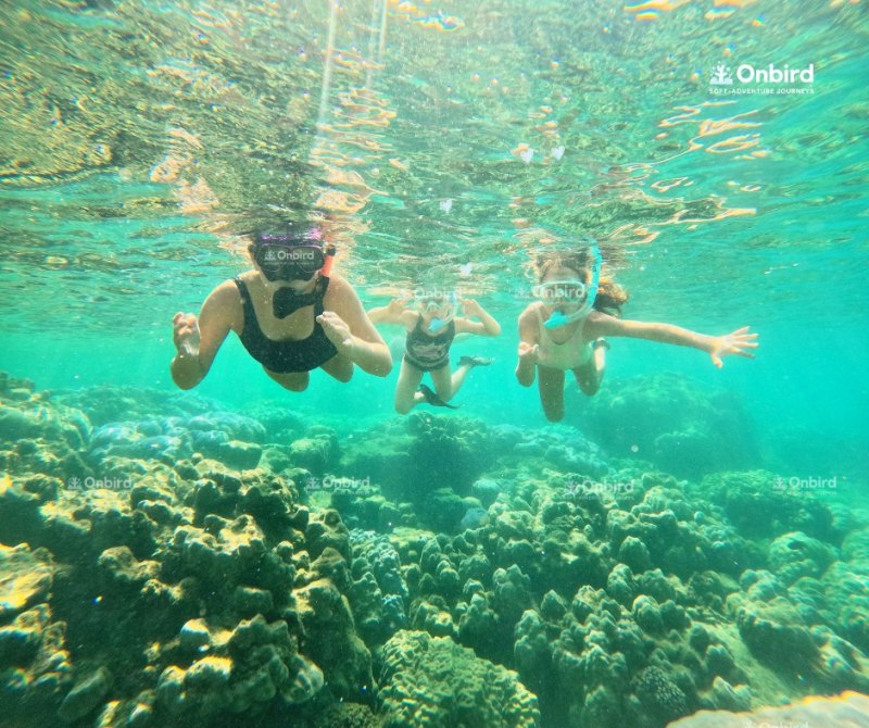 Phu quoc family snorkeling trip