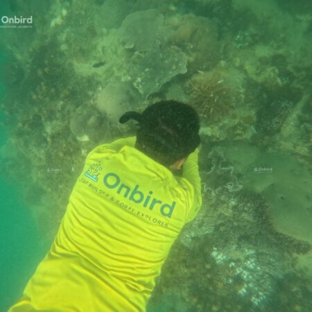 Dcim100goprogopr9947.jpg