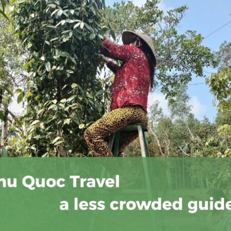 Phu Quoc Travel - onbird phu quoc
