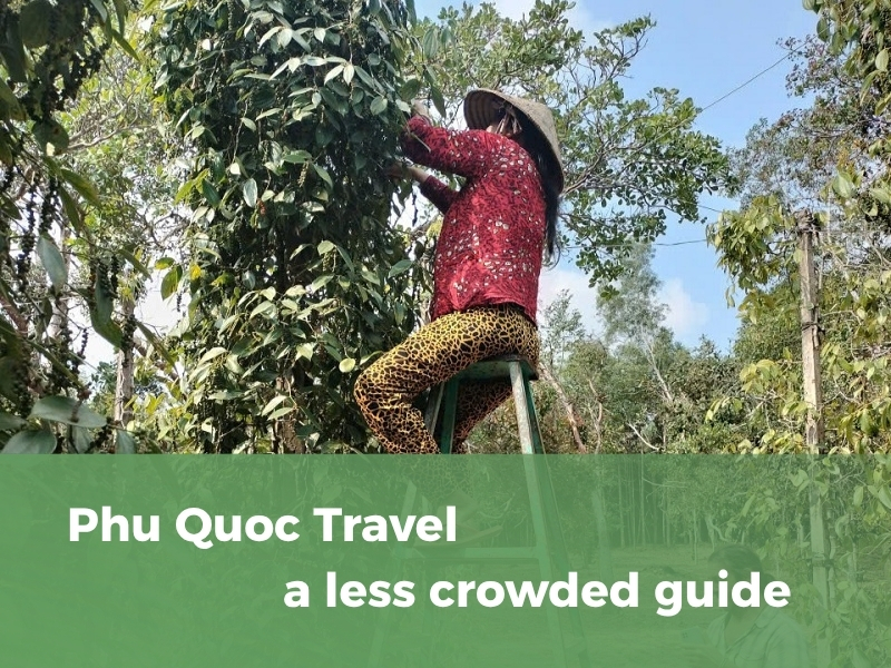 Phu Quoc Travel - onbird phu quoc