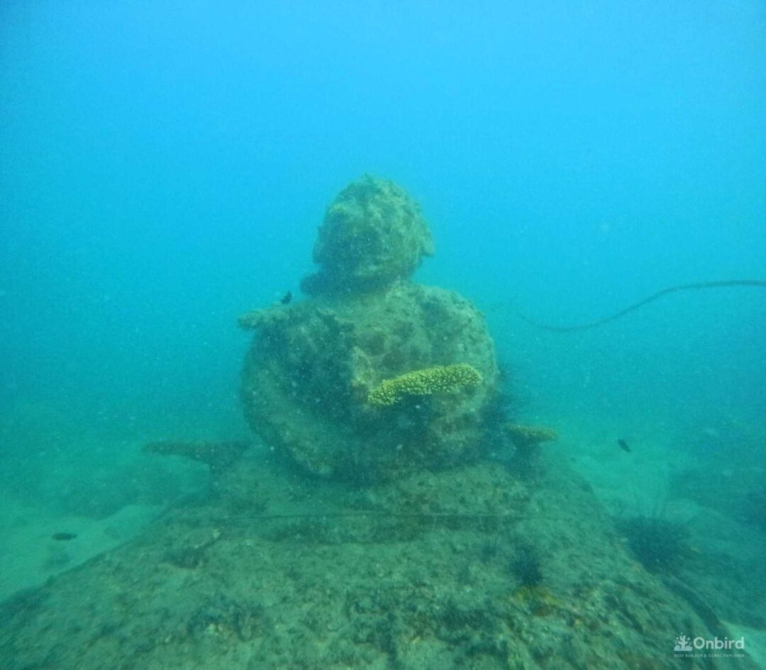 Dcim100goprogopr2774.jpg