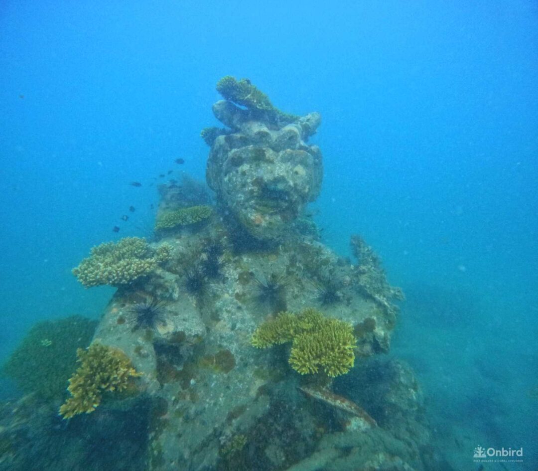 Little Hill coral reef in South Phu Quoc Island, Vietnam which is good for snorkeling and scuba diving