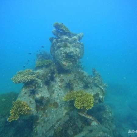 Little Hill coral reef in South Phu Quoc Island, Vietnam which is good for snorkeling and scuba diving