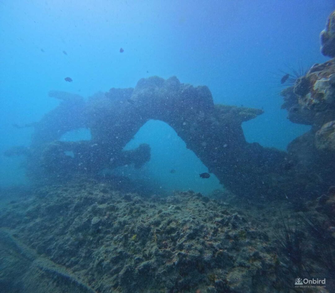 Dcim100goprogopr2784.jpg