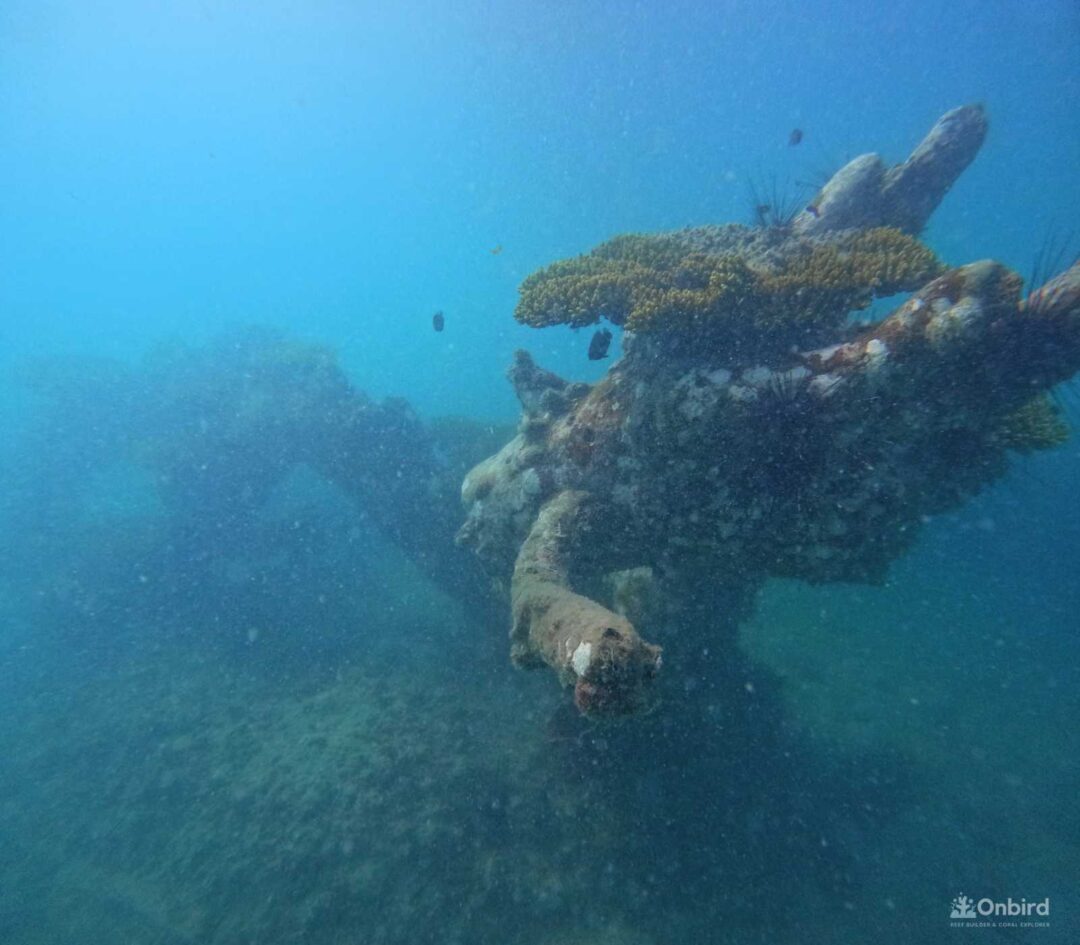 Dcim100goprogopr2786.jpg