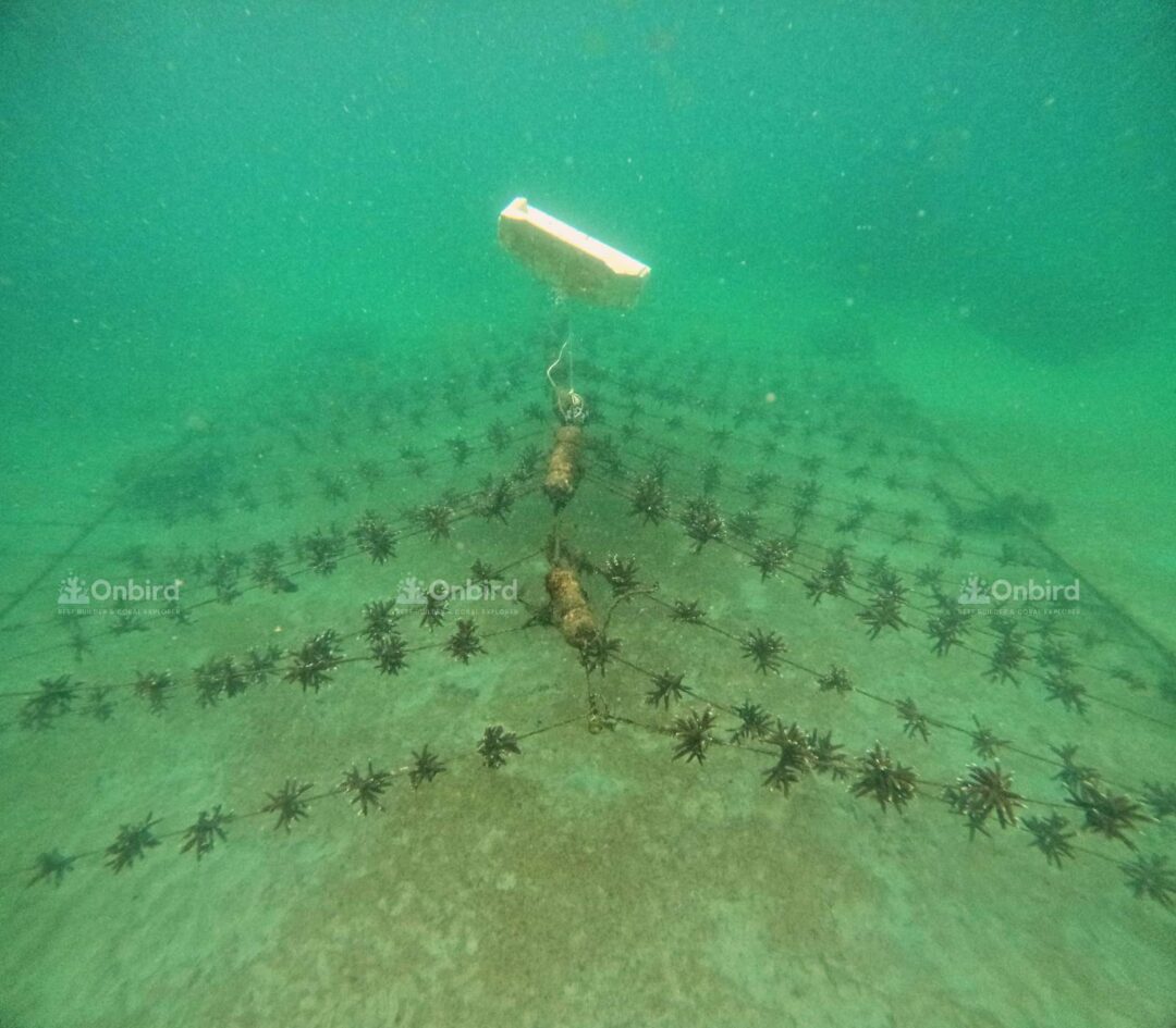 Dcim100goprogopr7696.jpg