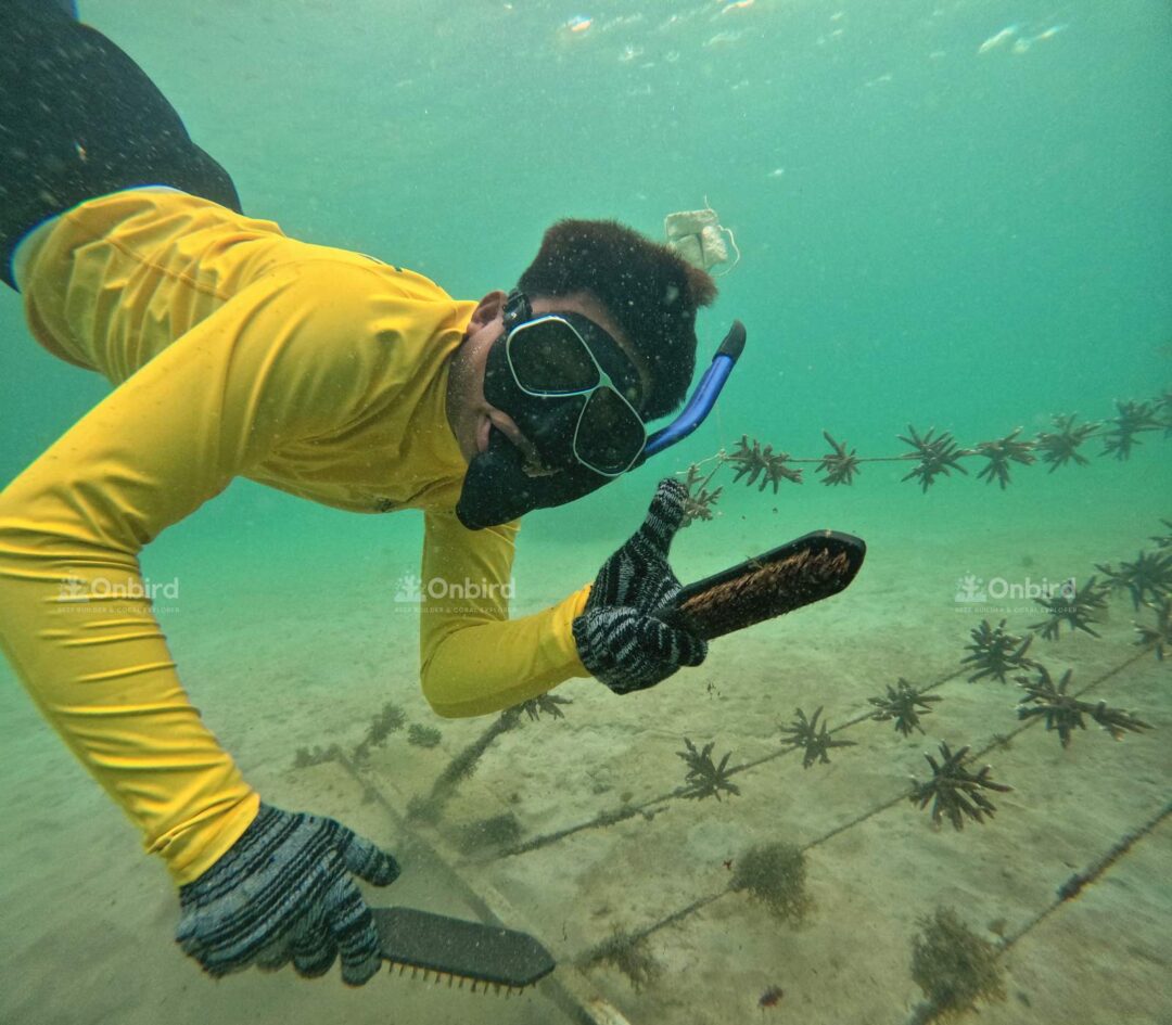 Dcim100goprogopr7700.jpg
