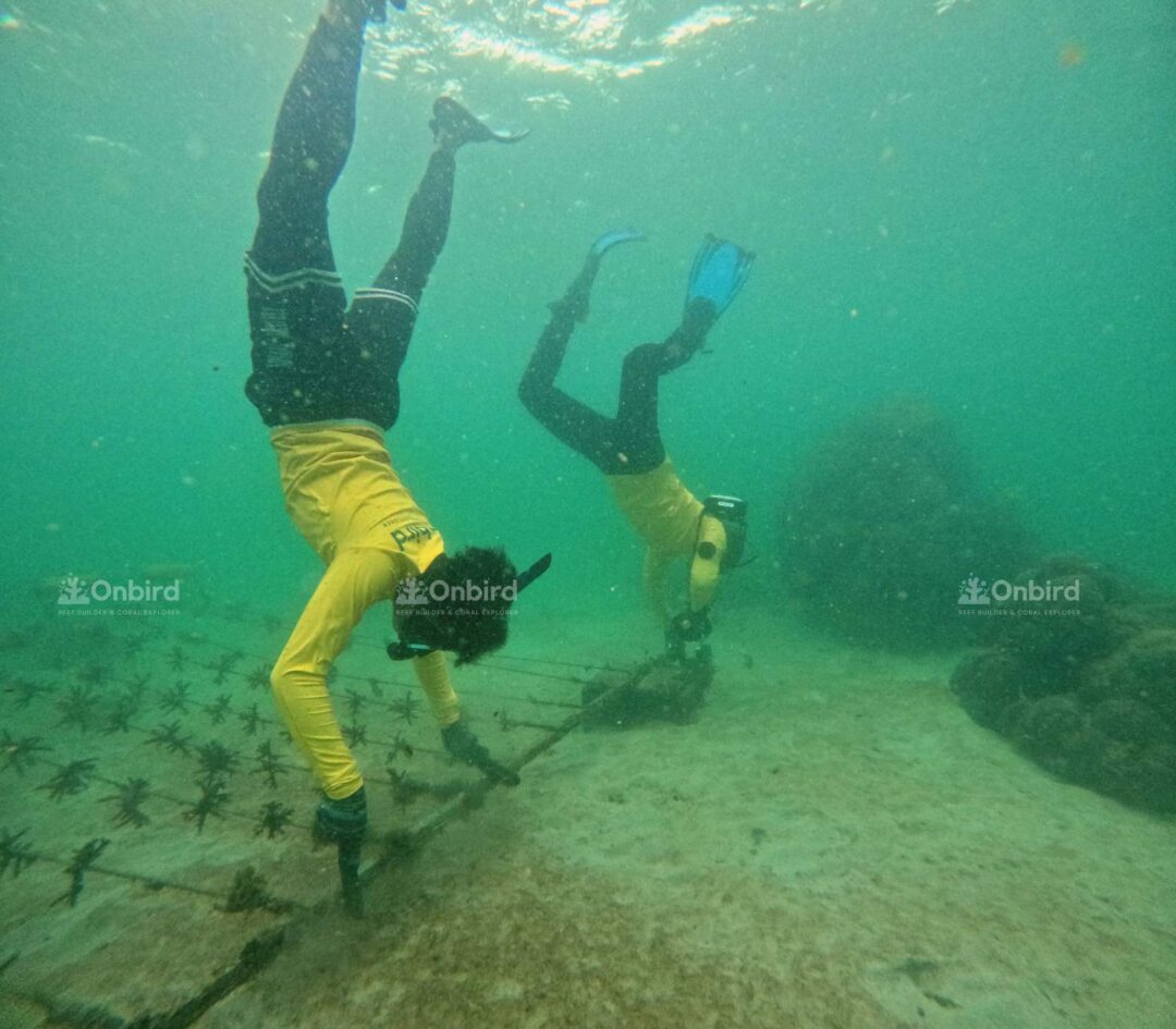 Dcim100goprogopr7702.jpg