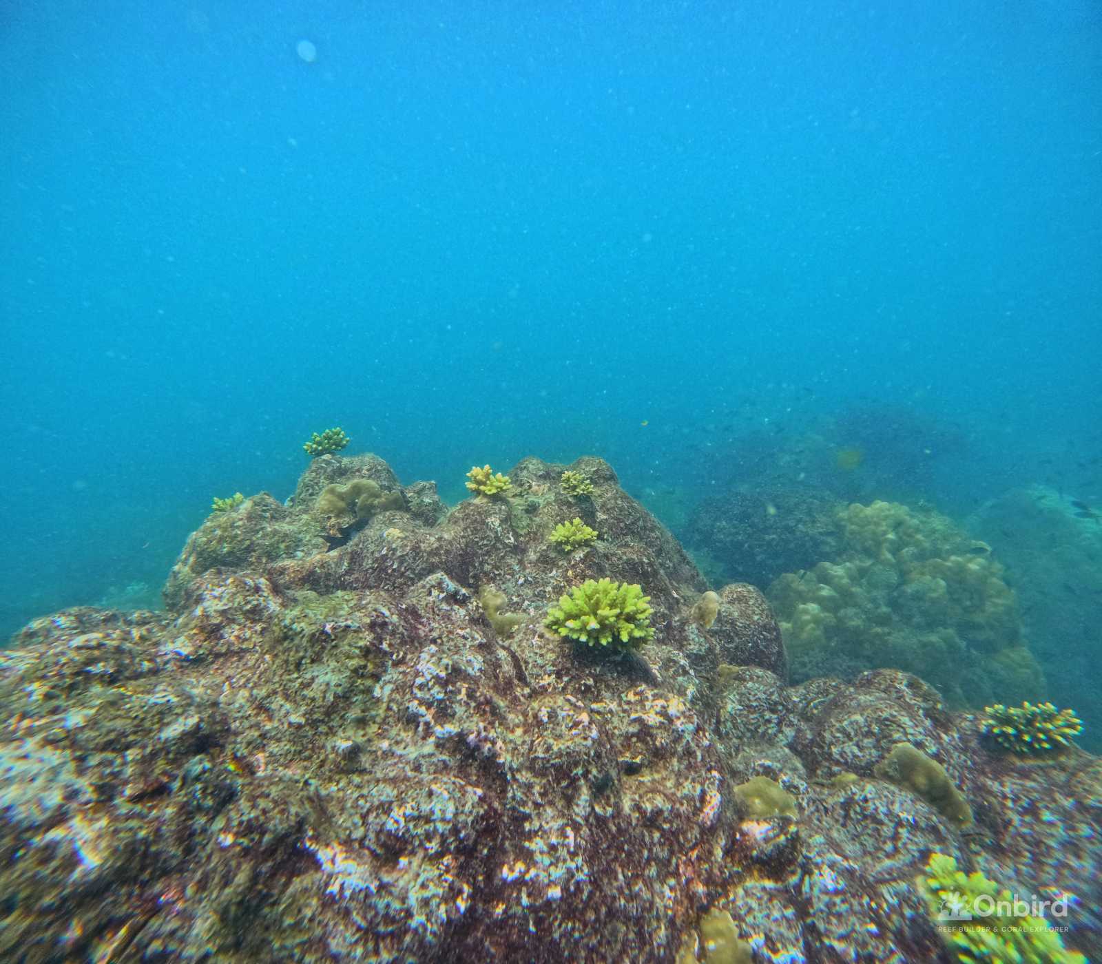 Dcim100goprogopr9965.jpg